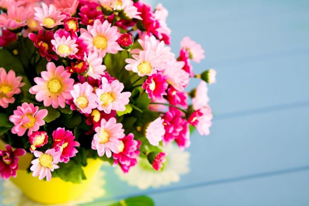 Clontarf Florist
