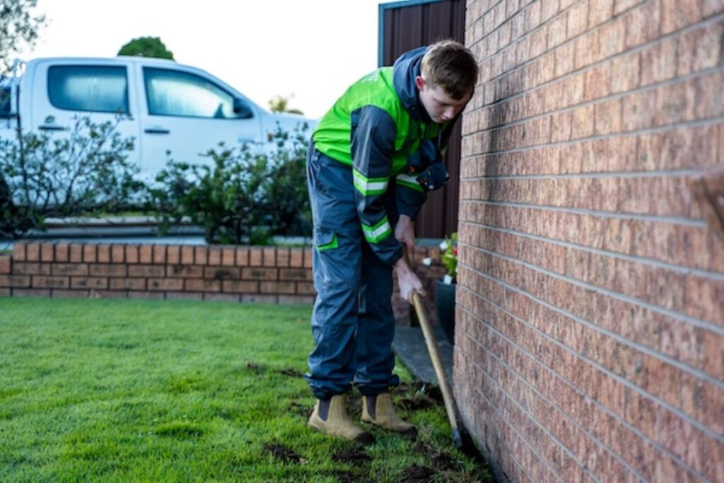 termite control