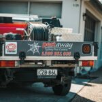 termite control