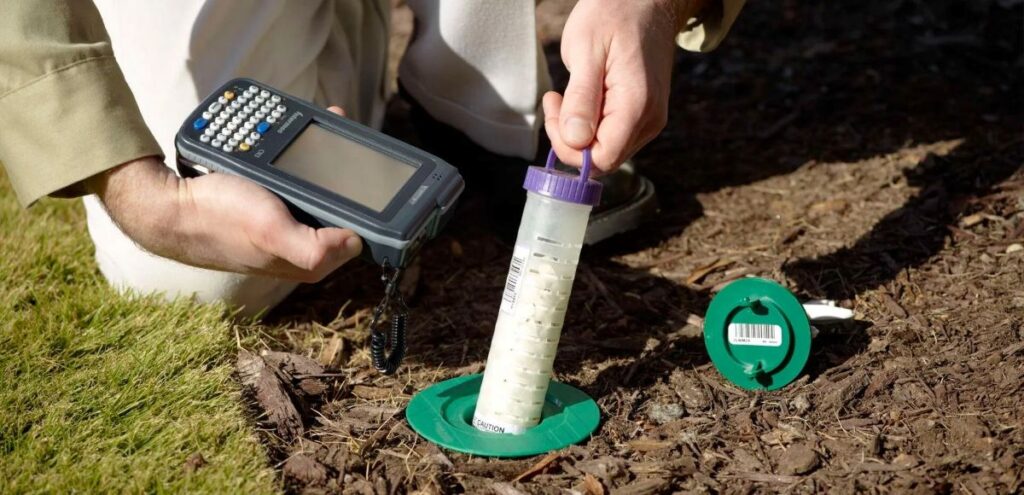 termite control